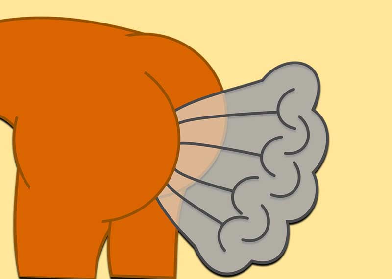 fart | Farting Is Good For You [You Can Have More Of It, But…] – Part 1